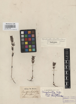 LE 00017188