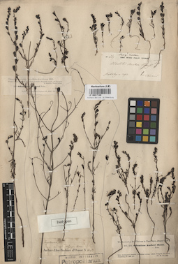 LE 00017189