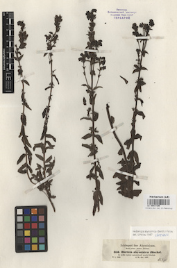 LE 00017190