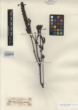 LE 00017191