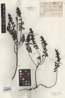 LE 00017192