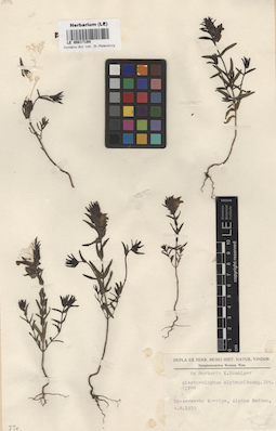 LE 00017194