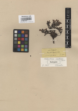 LE 00017197