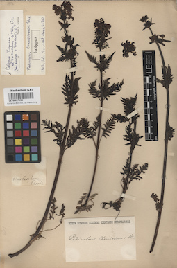 LE 00017198