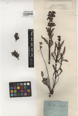 LE 00017202