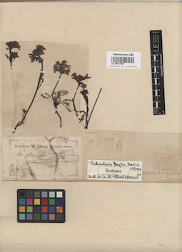 LE 00017205