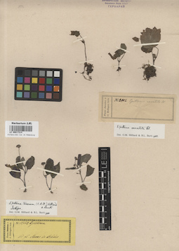 LE 00017214