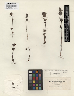 LE 00017216