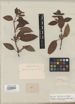 LE 00017218