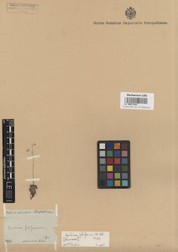 LE 00017223