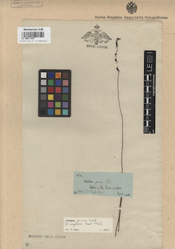 LE 00017224