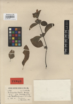 LE 00017228