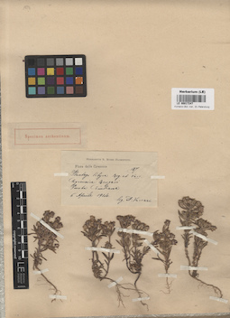 LE 00017247