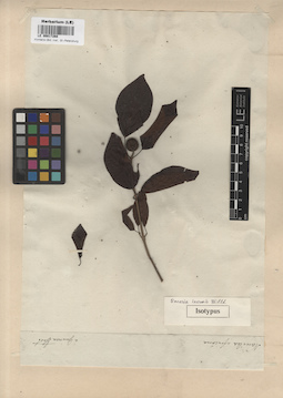 LE 00017268