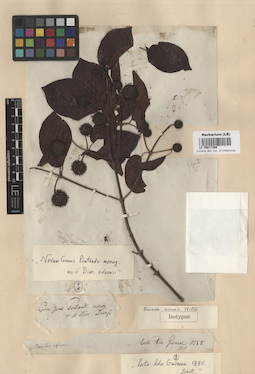 LE 00017269