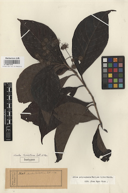 LE 00017270