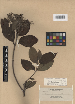LE 00017277