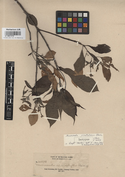 LE 00017278