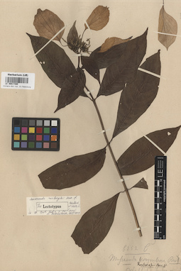 LE 00017280