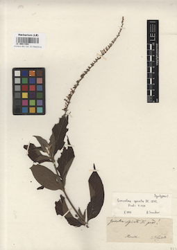 LE 00017283