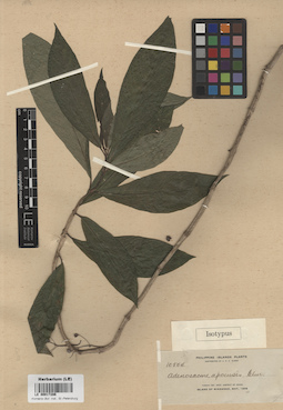 LE 00017286