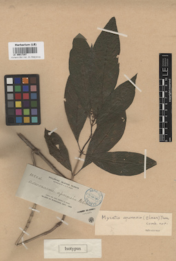 LE 00017287