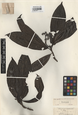 LE 00017297