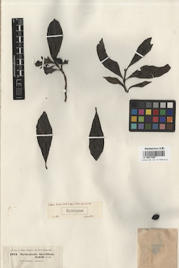 LE 00017298