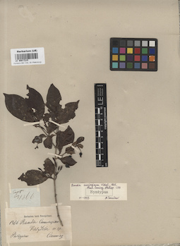 LE 00017315