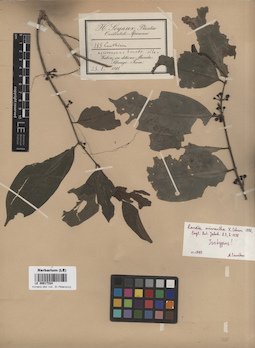 LE 00017324