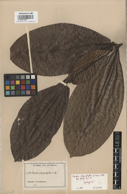 LE 00017330