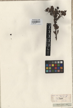 LE 00017334