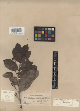 LE 00017354
