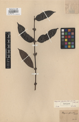 LE 00017361