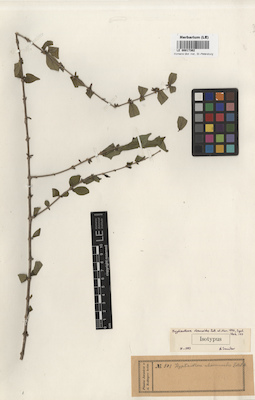 LE 00017362