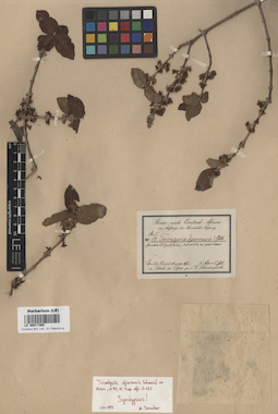 LE 00017369