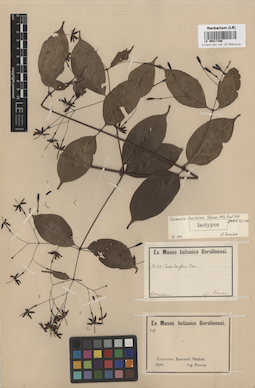 LE 00017386