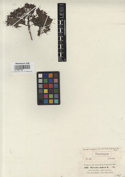 LE 00017401