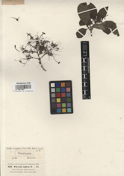 LE 00017402