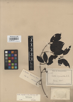 LE 00017412