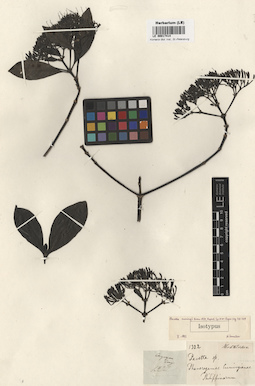 LE 00017414