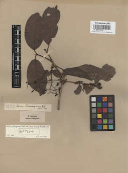 LE 00017473