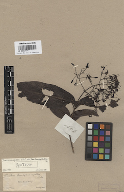LE 00017474