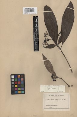 LE 00017476