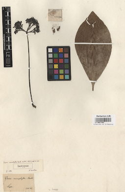 LE 00017483
