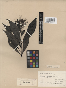 LE 00017501