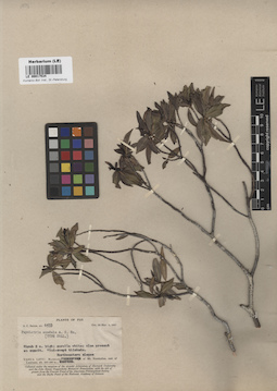 LE 00017534