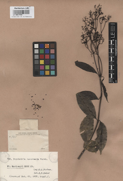LE 00017540