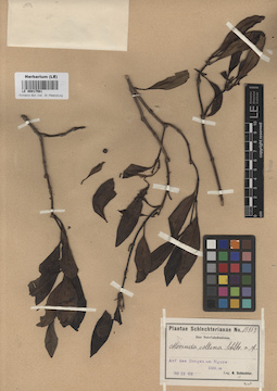 LE 00017561