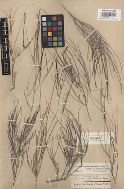 LE 00017564
